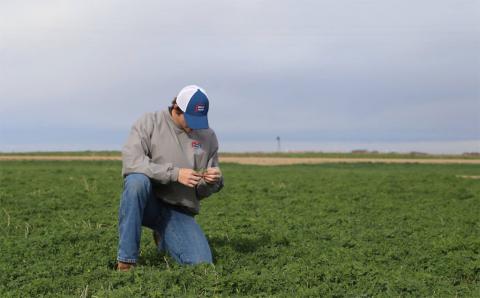 A ServiTech agronomist checks a field.
